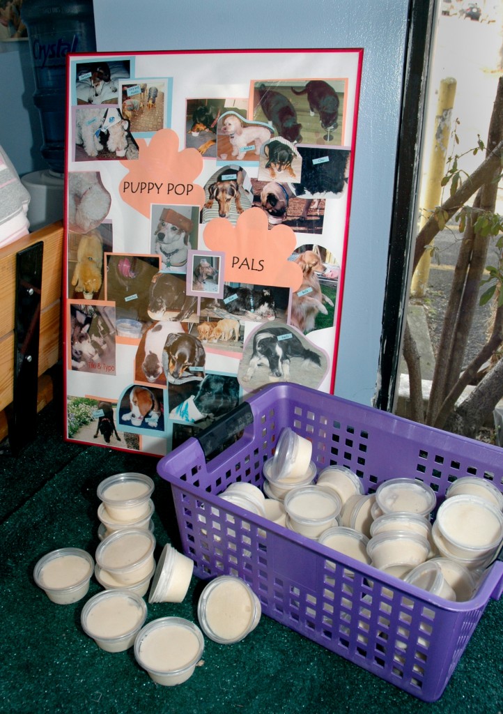 For Pups The Dairy Godmother